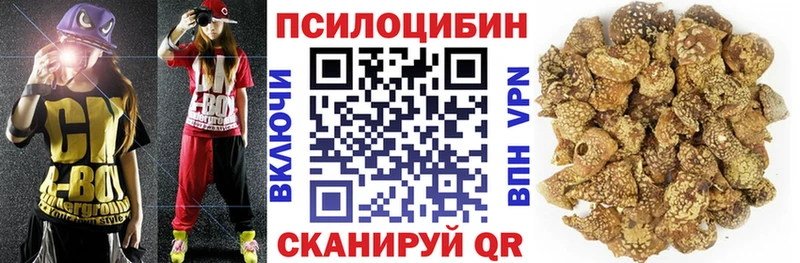 Купить где  Нефтекамск  Галлюциногенные грибы прущие грибы 